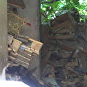 Çöp evden servet çıktı