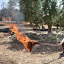 Manisa'da su kuyusunda bulunan maddede petrol tespit edildi