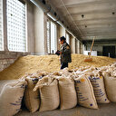 Buğday krizine Körfez Savaşı formülü