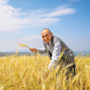 Hububat fiyatı çiftçiyi memnun etti: Stokçuluk biter