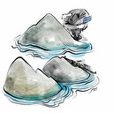 Yunanistan Adalar’ı cepheleştiriyor