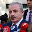 TBMM Başkanı Şentop'tan DBP vekilinin polisi yumruklamasına tepki: Milletvekilinin dokunulmazlığı kaldırılmalı ve gereken ceza verilmeli