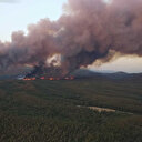 Marmaris'teki orman yangınıyla ilgili soruşturma başlatıldı