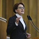 Akşener 14 uçak ve 20 helikopterle müdahale edilen yangına ilişkin konuştu: Yine uçak yok hazırlık yok