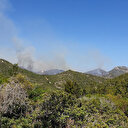 KKTC'deki orman yangınına müdahale sürüyor: Bin hektardan fazla alan yandı