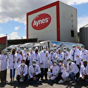 İflası istenirken büyüme rekoru kırmıştı: TMSF Aynes Gıda'yı satışa çıkarıyor