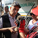 Marmaris'teki yangında mahsur kalan kirpi ve kaplumbağayı hayvanseverler kurtardı