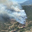 İzmir’de iki orman yangını
