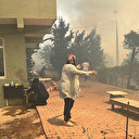 Beykoz'da orman yangını