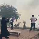 Beykoz'da orman yangını: Havadan karadan müdahale ediliyor