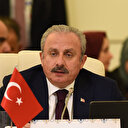 TBMM Başkanı Şentop doktor cinayetiyle ilgili konuştu: Mecliste adım atmaya hazırız
