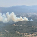 Bodrum'da orman yangını: Havadan karadan müdahale ediliyor