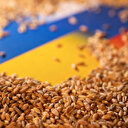 İstanbul'da kritik zirve: Tahıl koridoru için görüşmeler başlıyor