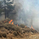 Hatay’daki orman yangınıyla ilgili bir şüpheli gözaltında