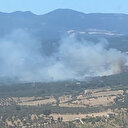 İzmir'de ormanlık alanda çıkan yangın kontrol altına alındı