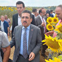 Bakan Yardımcısı Pakdil’den tırtıl istilası konusunda rahatlatan açıklama: Ürkütücü bir tablo yok