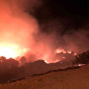 İzmir Çeşme’de yangın