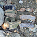 Valilik açıkladı: Tunceli'de teröristlere ait el bombası ve mühimmat ele geçirildi