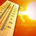 İspanya’da aşırı sıcaklar en az 500 kişinin hayatını kaybetmesine neden oldu