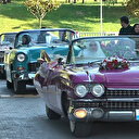 Bu düğün konvoyunu görenler dönüp bir daha baktı