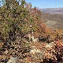 Eren Abluka-24 operasyonu başlatıldı