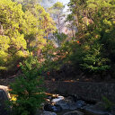 Marmaris’te orman yangını