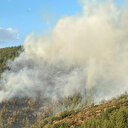 Balıkesir'de orman yangını kontrol altında