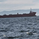 Ukrayna'dan tahıl sevkiyatı sürüyor: İki gemi daha bu sabah yola çıktı