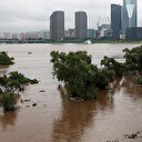 Güney Kore sele teslim oldu: 9 ölü