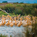 Doğaya karşı çocuklar daha bilinçli