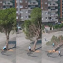 CHP’li İzmir Belediyesi’nin ağaç katliamına tepki yağdı: Lafa gelince doğa dostu