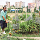 Kent tarımı sebzesini verdi