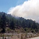 Antalya'da orman yangını: Havadan ve karadan müdahale ediliyor