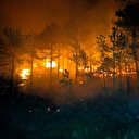 Konya’da ormanlık alanda çıkan yangın söndürüldü