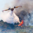 Geçen yıl yanan ormanların yüzde 90'ında çalışmalar tamamlandı