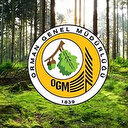 OGM alımları 2022 | Orman Genel Müdürlüğü 338 kamu personeli alımı başvuruları başladı