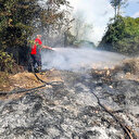 Mersin'de orman yangını
