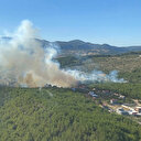 İzmir’de orman yangını