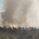Antalya Demre'de ormanlık alanda yangın çıktı