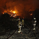 Arnavutköy'de ormanlık alanda yangın