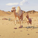 TRT ortak yapımı 'Tay' 23 Eylül'de minik seyircilerle buluşacak