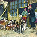 İstanbul’daki sokak köpeklerinin tarihi
