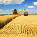 Mazot ve gübre desteği ne zaman yatacak?