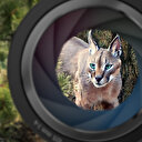 TRT Belgesel'de yeni yayın dönemi başlıyor