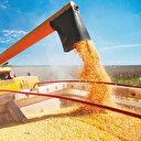 Şiddetlenen savaş tahıl koridorunu etkileyebilir