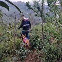 Jandarmadan ‘Skunk’ operasyonu