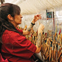 İspanya’daki İslam mirası UNESCO’ya aday