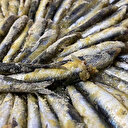 Hamsi nasıl yapılır? Pişirmede püf noktaları neler?