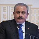 TBMM Başkanı Şentop: Türkiye Kırım'ın ilhakını tanımayacak