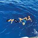 Akdeniz göçmenlere ölüm yolu oldu: 30 bin dram